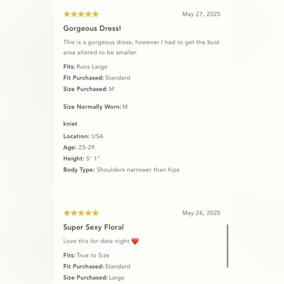 NWT Size XL -Anthropologie Sleeveless V-Neck Lace Slip Midi Dress (NWT US$ 178) - Picture 16 of 17